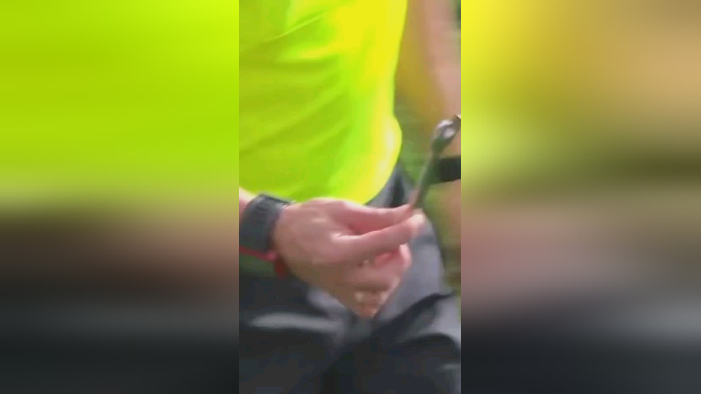 题并分